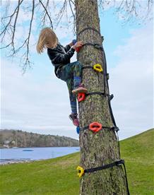 Adventure Sports Kiipeilykivet sis. hihnat puuta varten-3