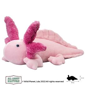  All About Nature - Axolotl 36x16 cm-2