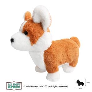 All About Nature - Corgi -koira 32x25 cm-2