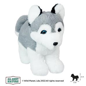  All About Nature - Husky pentu 32x26 cm-2