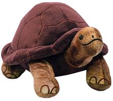 All About Nature - Jättikilpikonna 26 x 18 cm