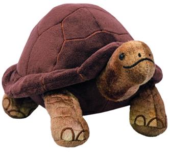  All About Nature - Jättikilpikonna 26 x 18 cm 