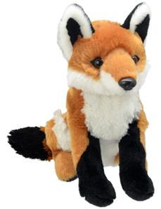 All About Nature - Kettu 27x22 cm