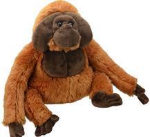 All About Nature - Oranki 22x23 cm