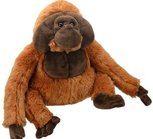 All About Nature - Oranki 22x23 cm