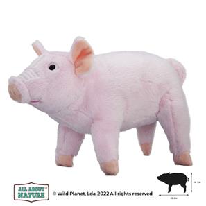 All About Nature - Possu 22x14 cm -2