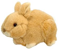 All About Nature - Pupu 23x16 cm