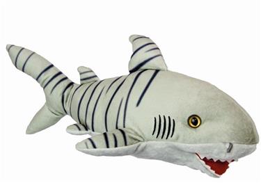 All About Nature - Tiikerihai  40x15 cm 