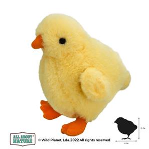  All About Nature - Tipu 10x12 cm-2