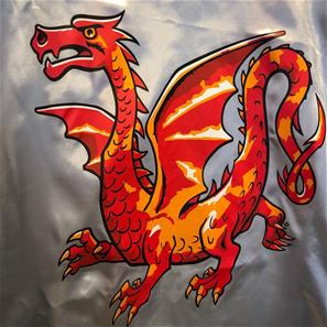 Amber Dragon -viittapuku-3