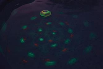 Bestway Flowclear kelluva LED-allasvalo-8