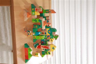 Classic Dinosaur -rakennuspalikat – 80 kpl (alkaen 18kk)-3