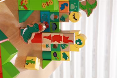 Classic Dinosaur -rakennuspalikat – 80 kpl (alkaen 18kk)-5
