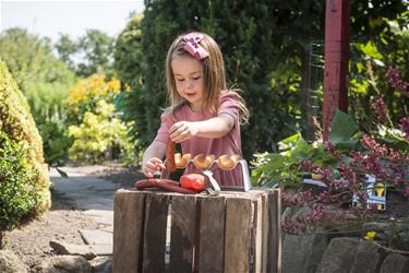 Dantoy Green Garden hot dog -setti-4