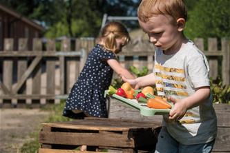 Dantoy Green Garden Mini kasvihuone -setti 18 osaa-3