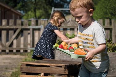 Dantoy Green Garden Mini kasvihuone -setti 18 osaa-3