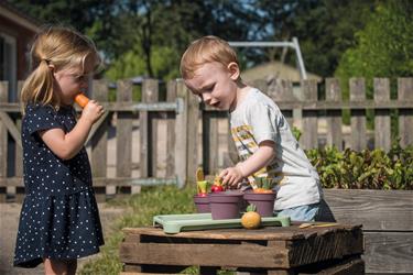 Dantoy Green Garden Mini kasvihuone -setti 18 osaa-4