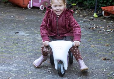 Dantoy Princess potkupyörä kumipyörillä-2