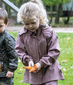 Dantoy Green Garden puutarhasetti - 11 osaa-4