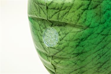 Dinosaurus sprinklerin kanssa-7