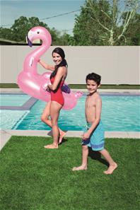 Flamingo-vesilelu 127 x 127 cm-3