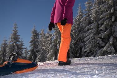 Galactus Kaksoiskelkka ohjauspyörällä, oranssi-12