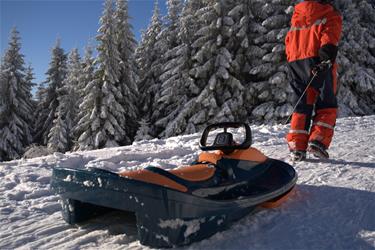 Galactus Kaksoiskelkka ohjauspyörällä, oranssi-4