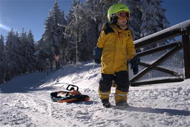 Galactus Kaksoiskelkka ohjauspyörällä, oranssi-6