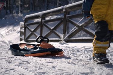 Galactus Kaksoiskelkka ohjauspyörällä, oranssi-7