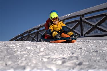 Galactus Kaksoiskelkka ohjauspyörällä, oranssi-8