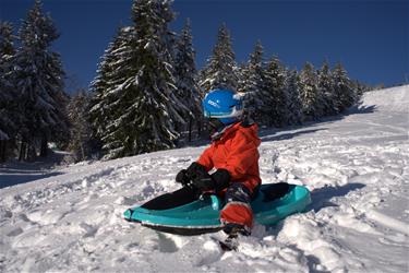 Galactus Kaksoiskelkka ohjauspyörällä, polarin sininen-8