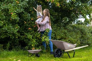 Hörby Bruk lasten kottikärryt, vaaleanpunainen-4