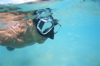 Hydro-Pro Trilogy sukellusmaski, alkaen 14v-5