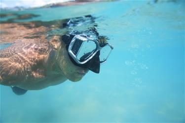 Hydro-Pro Trilogy sukellusmaski, alkaen 14v-5