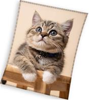 Kissa Coral fleecehuopa 150 x 200 cm