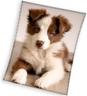 Koira Coral fleecehuopa 150 x 200 cm