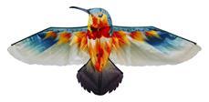 Kolibri 3D-leija (alkaen 6v), 165 x 75 cm