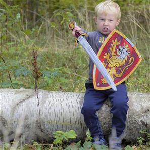 Noble Knight vaahtomiekka + kilpi, punainen-7