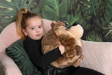 Noxxiez Jättipehmo, kädenlämmitin ja tyyny - Koira-3