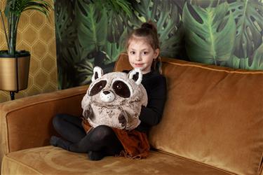 Noxxiez jättipehmo, kädenlämmitin ja tyyny - Pesukarhu-2