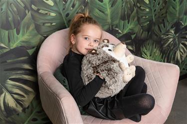 Noxxiez Jättipehmo, kädenlämmitin ja tyyny - Siili-2