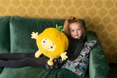 Noxxiez Jättiphemo, kädenlämmitin ja tyyny - Ananas-2