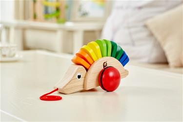 Pintoy puinen lelu Siili (alkaen 12 kk)-4