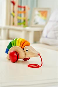 Pintoy puinen lelu Siili (alkaen 12 kk)-5