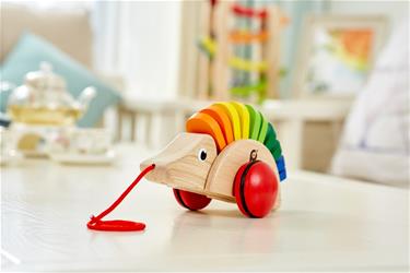 Pintoy puinen lelu Siili (alkaen 12 kk)-6