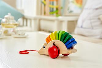 Pintoy puinen lelu Siili (alkaen 12 kk)-7