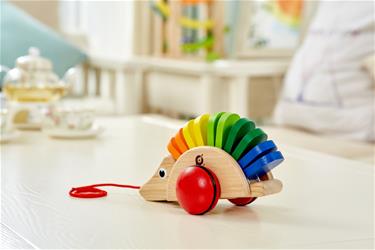 Pintoy puinen lelu Siili (alkaen 12 kk)-7
