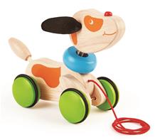 Pintoy vetolelu koiranpentu (alkaen 12 kk)