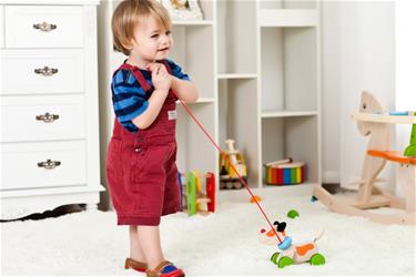 Pintoy vetolelu koiranpentu (alkaen 12 kk)-2