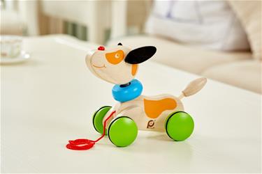 Pintoy vetolelu koiranpentu (alkaen 12 kk)-4